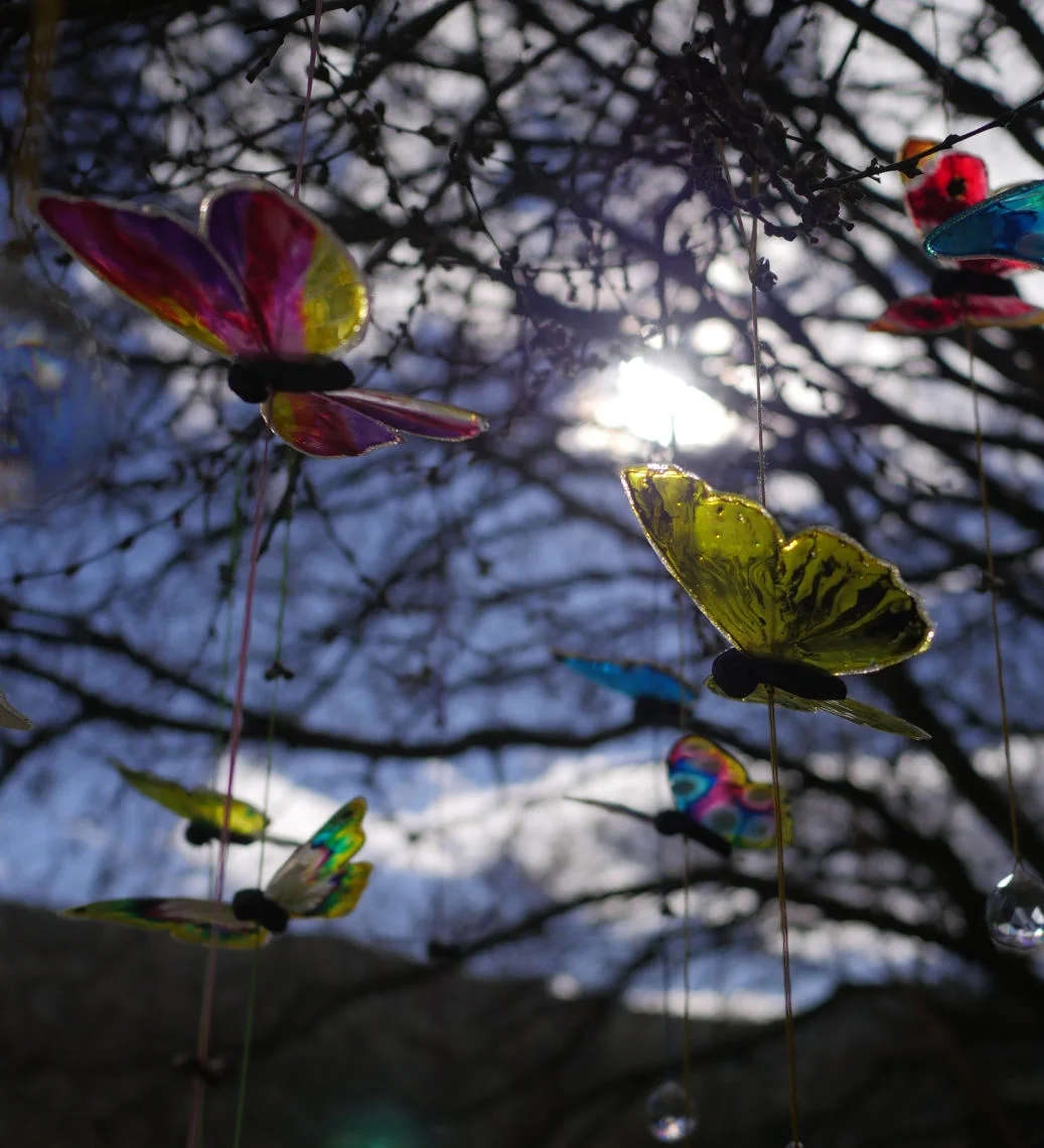 Colourful butterfly sculptures hanging in a tree