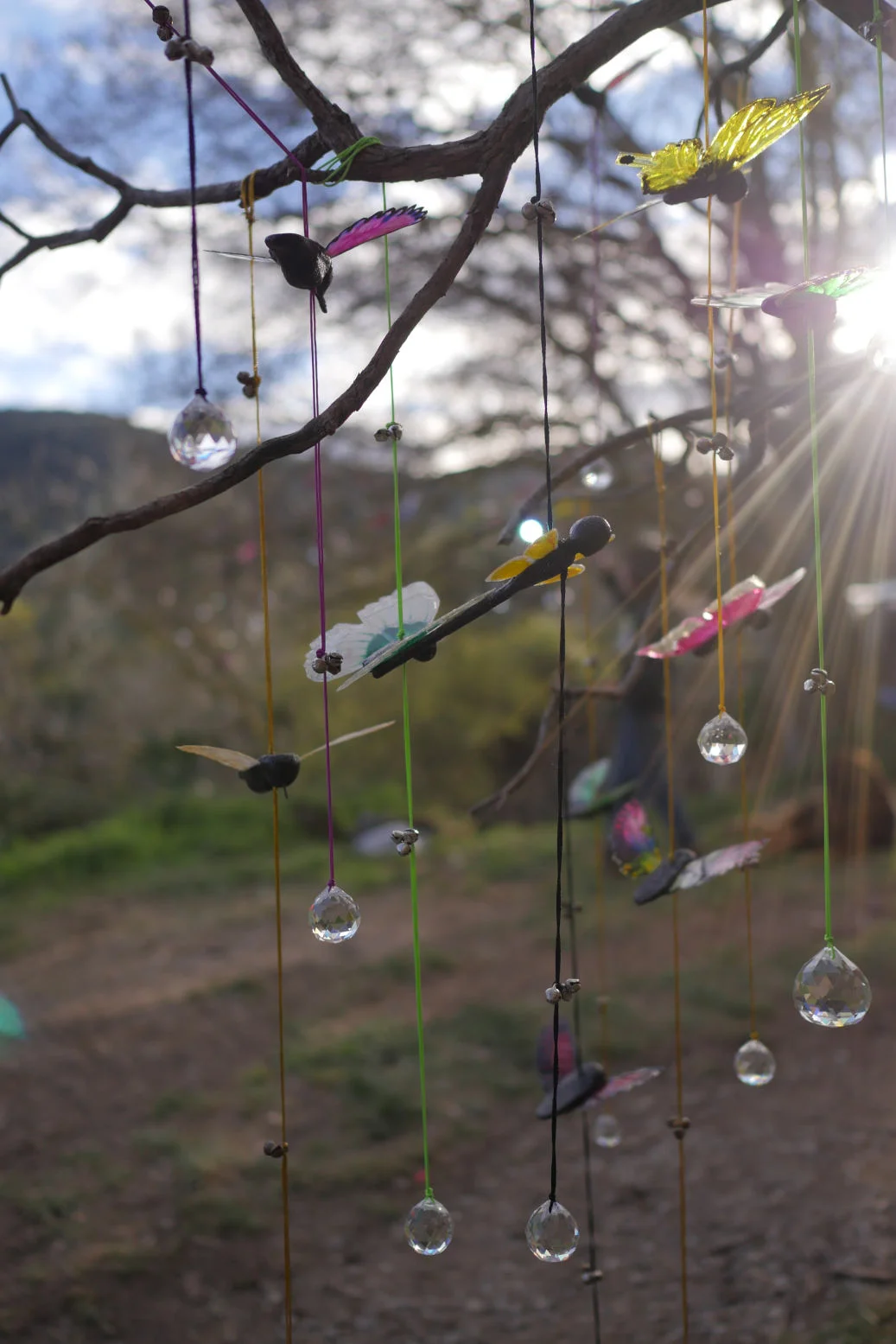 Crystal butterflies and droplets catching sunlight in a tree