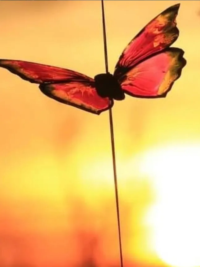 Red butterfly on a stick against golden sunset sky