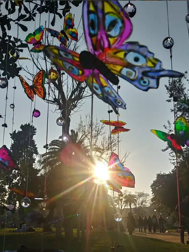 Butterflies in a park at sunburst