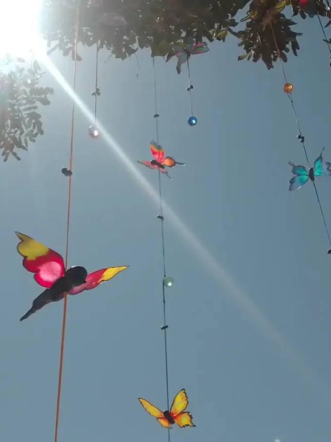 Butterflies hanging in blue sky